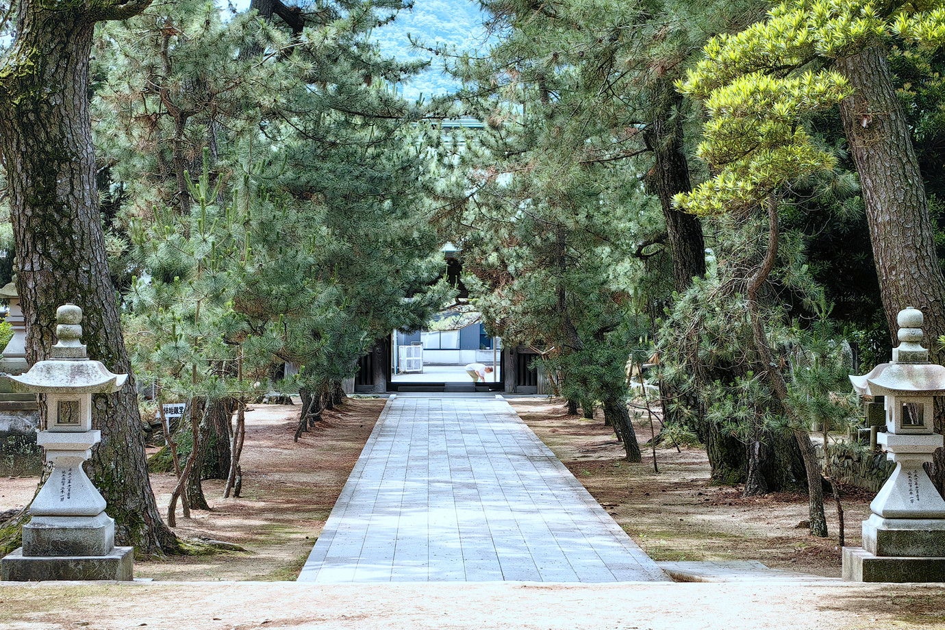 四國遍路-白牛山國分寺